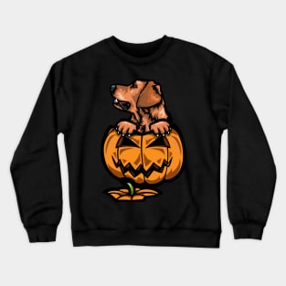 Halloween Golden Retriever Pumpkin Crewneck Sweatshirt